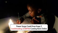 Will South Africans Avoid Stage 2 Cuts? 2,730MW Deadline Approaches June 29!