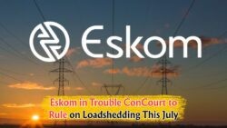 Eskom's Loadshedding Crisis: Will the 28 July Constitutional Verdict Lead to a Shutdown?