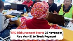 Don't Miss Out: Set ID Alerts for R370 SRD Disbursements Starting 25 Nov!