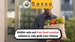 Discover How South Africans Are Receiving Free Food Vouchers in July: A Full Breakdown of SASSA's Grocery Relief