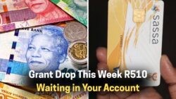 SASSA Announces: R510 Child Support Payments Begin This Week - How to Check Your Balance!