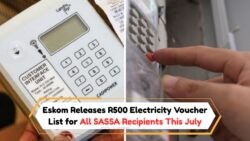 July's R500 Electricity Boost for SASSA Beneficiaries: See the Complete Subsidy List Now!