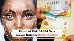 SASSA's Urgent Alert: Verify Your ID by 1 Sept to Prevent Account Freezes!