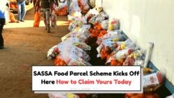 SASSA's Free R980 Food Parcel Program Launches Nationwide on 18 July 2025 – Don't Miss Your Chance!
