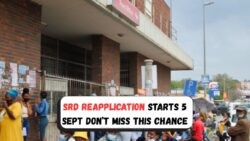 Don't Miss Out: SRD Grants Open for New Applicants on 5 Sept - Secure Your Monthly R370 Support!