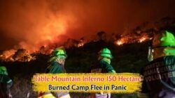 July Disaster: Table Mountain Fire Forces Tourist Camp Evacuations, Burns 150 Hectares