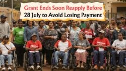 Temporary Disability Grant Ends 28 July – SASSA Urges Early Reapplication to Avoid Payment Gaps