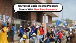 SASSA's August 2025 Shift: Farewell SRD, Welcome Basic Income Payment Plan!