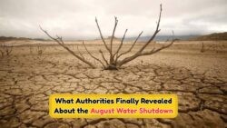 Cape Town's Emergency Water Plan Ignites Public Outcry as Residents Face Dry Taps