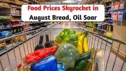 August Food Crisis: South African Families Struggle as Bread, Oil, and Maize Prices Soar