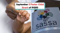 How to Track Your Foster Child Grant Payment of R1,250 on September 5, 2025