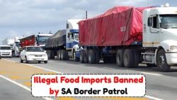 Are Your Groceries Safe? Border Patrol's New Food Restrictions You Need to Know